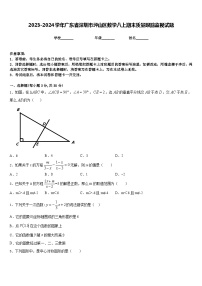 2023-2024学年广东省深圳市坪山区数学八上期末质量跟踪监视试题含答案