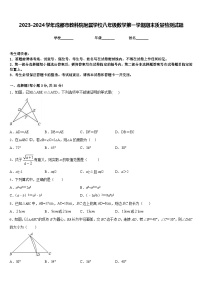 2023-2024学年成都市教科院附属学校八年级数学第一学期期末质量检测试题含答案