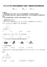 2023-2024学年广西百色市德保县数学八年级第一学期期末教学质量检测模拟试题含答案