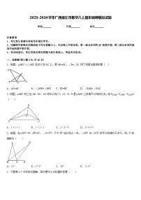 2023-2024学年广西崇左市数学八上期末调研模拟试题含答案