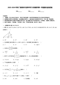 2023-2024学年广西桂林市宝贤中学八年级数学第一学期期末监测试题含答案