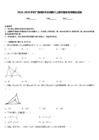 2023-2024学年广西桂林市全州县八上数学期末统考模拟试题含答案