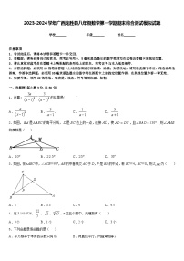 2023-2024学年广西龙胜县八年级数学第一学期期末综合测试模拟试题含答案