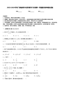 2023-2024学年广西梧州市岑溪市数学八年级第一学期期末联考模拟试题含答案