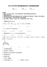 2023-2024学年广西壮族自治区崇左市八上数学期末检测试题含答案