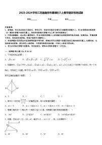 2023-2024学年江苏省南京市建邺区八上数学期末检测试题含答案