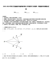 2023-2024学年江苏省南京市南师附中树人学校数学八年级第一学期期末检测模拟试题含答案