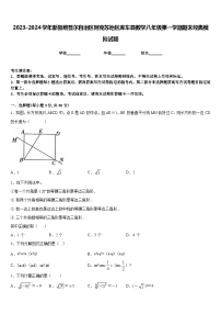 2023-2024学年新疆维吾尔自治区阿克苏地区库车县数学八年级第一学期期末经典模拟试题含答案