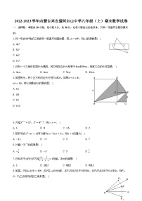 +内蒙古兴安盟阿尔山中学2022-2023学年八年级上学期期末数学试卷+