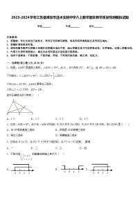 2023-2024学年江苏省淮安市涟水实验中学八上数学期末教学质量检测模拟试题含答案