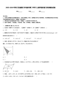 2023-2024学年江苏省镇江市句容市第二中学八上数学期末复习检测模拟试题含答案