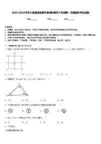 2023-2024学年江西省省宜春市袁州区数学八年级第一学期期末考试试题含答案