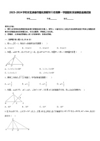 2023-2024学年河北承德市隆化县数学八年级第一学期期末质量跟踪监视试题含答案