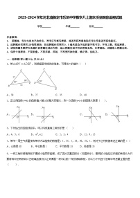 2023-2024学年河北省保定市乐凯中学数学八上期末质量跟踪监视试题含答案