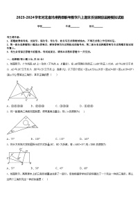 2023-2024学年河北省沧州青县联考数学八上期末质量跟踪监视模拟试题含答案