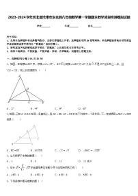 2023-2024学年河北省沧州市东光县八年级数学第一学期期末教学质量检测模拟试题含答案