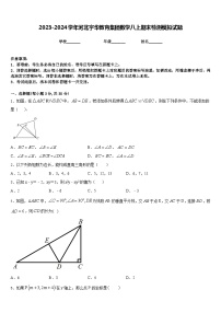 2023-2024学年河北宇华教育集团数学八上期末检测模拟试题含答案