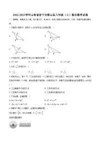 2022-2023学年山东省济宁市梁山县八年级（上）期末数学试卷（含解析）