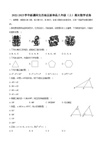 2022-2023学年新疆阿克苏地区新和县八年级（上）期末数学试卷（含解析）