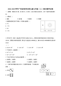 2022-2023学年广东省东莞市桥头镇七年级（上）期末数学试卷（含解析）