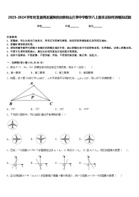 2023-2024学年河北省青龙满族自治县祖山兰亭中学数学八上期末达标检测模拟试题含答案