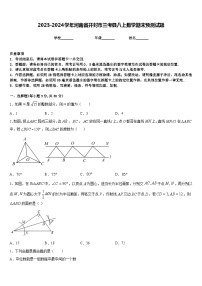 2023-2024学年河南省开封市兰考县八上数学期末预测试题含答案