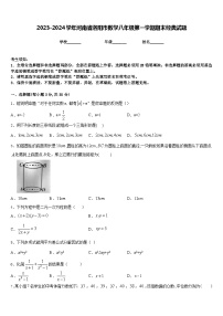 2023-2024学年河南省洛阳市数学八年级第一学期期末经典试题含答案