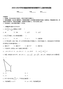 2023-2024学年河南省洛阳市新安县数学八上期末预测试题含答案