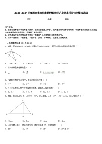 2023-2024学年河南省南阳市新野县数学八上期末质量检测模拟试题含答案