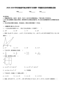 2023-2024学年河南省平顶山市数学八年级第一学期期末达标检测模拟试题含答案