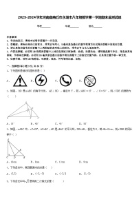 2023-2024学年河南省商丘市永城市八年级数学第一学期期末监测试题含答案