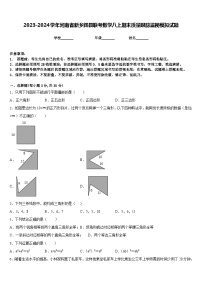 2023-2024学年河南省新乡辉县联考数学八上期末质量跟踪监视模拟试题含答案