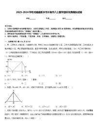 2023-2024学年河南省新乡市长垣市八上数学期末经典模拟试题含答案