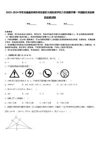 2023-2024学年河南省郑州市郑东新区九制实验学校八年级数学第一学期期末质量跟踪监视试题含答案