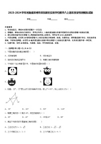 2023-2024学年河南省郑州市郑东新区实验学校数学八上期末质量检测模拟试题含答案