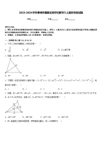 2023-2024学年泰州市智堡实验学校数学八上期末检测试题含答案