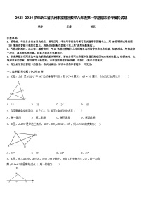 2023-2024学年浙江省杭州市富阳区数学八年级第一学期期末统考模拟试题含答案