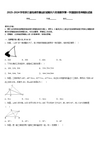 2023-2024学年浙江省杭州市萧山区城厢片八年级数学第一学期期末统考模拟试题含答案