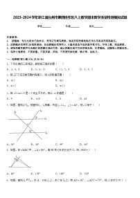 2023-2024学年浙江省台州市第四协作区八上数学期末教学质量检测模拟试题含答案