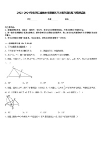 2023-2024学年浙江省丽水市莲都区八上数学期末复习检测试题含答案