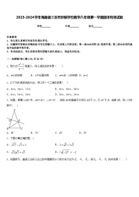 2023-2024学年海南省三亚市妙联学校数学八年级第一学期期末检测试题含答案