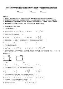 2023-2024学年海南省三亚市名校数学八年级第一学期期末教学质量检测试题含答案