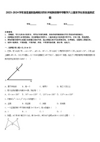 2023-2024学年湖北省恩施州利川市长坪民族初级中学数学八上期末学业质量监测试题含答案