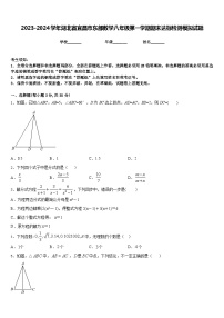 2023-2024学年湖北省宜昌市东部数学八年级第一学期期末达标检测模拟试题含答案