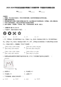 2023-2024学年湖北省宜昌市夷陵区八年级数学第一学期期末检测模拟试题含答案