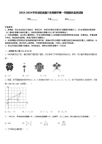 2023-2024学年湖北宜昌八年级数学第一学期期末监测试题含答案