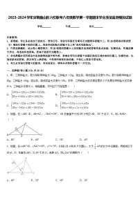 2023-2024学年深圳南山区六校联考八年级数学第一学期期末学业质量监测模拟试题含答案