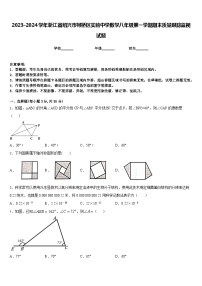 2023-2024学年浙江省绍兴市柯桥区实验中学数学八年级第一学期期末质量跟踪监视试题含答案