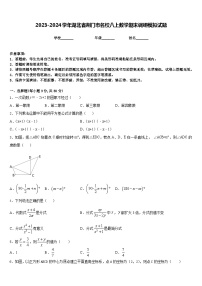 2023-2024学年湖北省荆门市名校八上数学期末调研模拟试题含答案