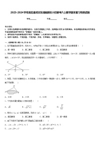 2023-2024学年湖北省武汉东湖高新区六校联考八上数学期末复习检测试题含答案